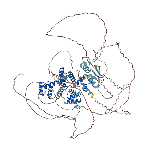 ZHX2 3D structure