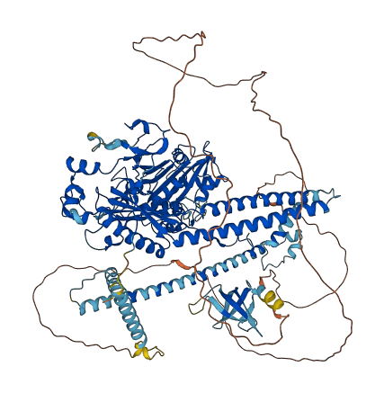 MORC2 3D structure
