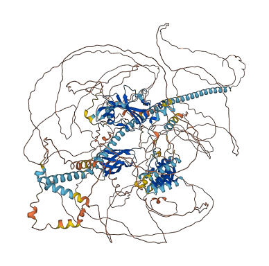 CAMTA1 3D structure