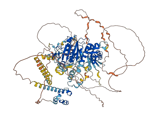 SEC23IP 3D structure