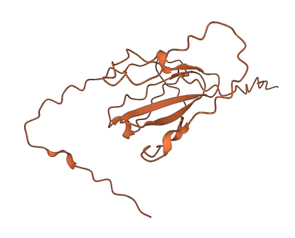 KIF25-AS1 3D structure