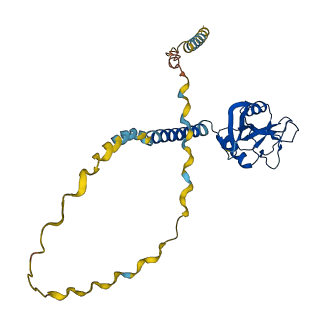 COLEC10 3D structure