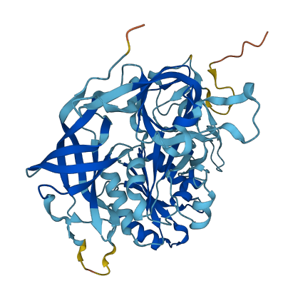 Eif2s3y 3D structure