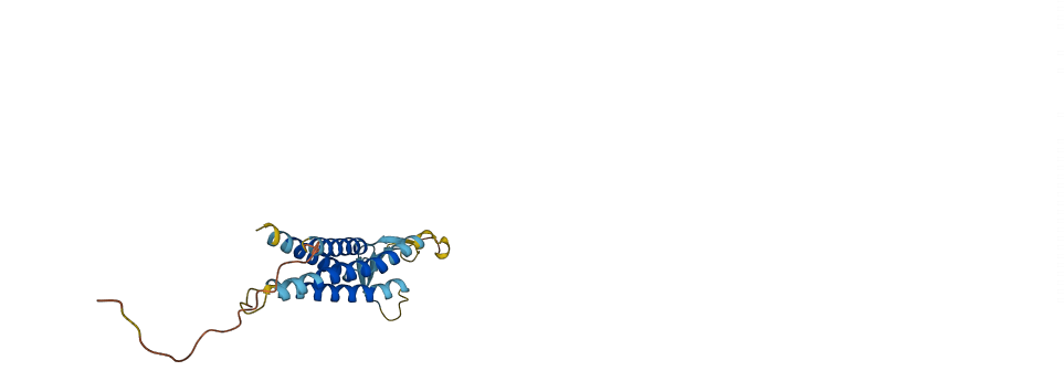 Cldn13 3D structure