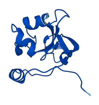 Supt4h1b 3D structure