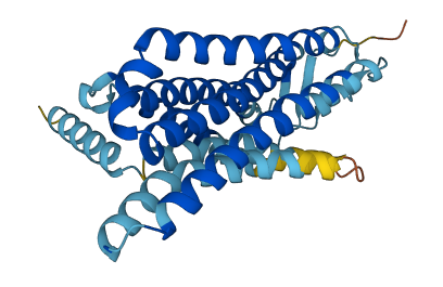 Olfr49 3D structure
