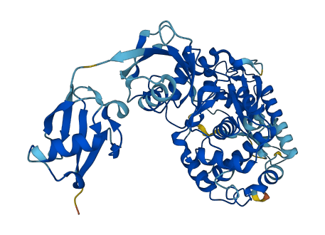 Oasl2 3D structure