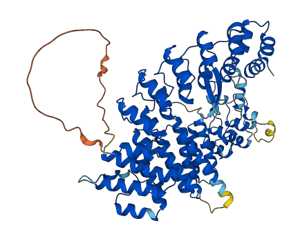 Fem1aa 3D structure