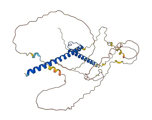Mycs 3D structure