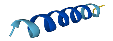 MTRNR2L13 3D structure
