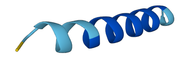 MTRNR2L11 3D structure
