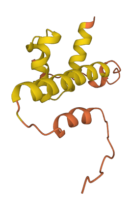 PYDC5 3D structure