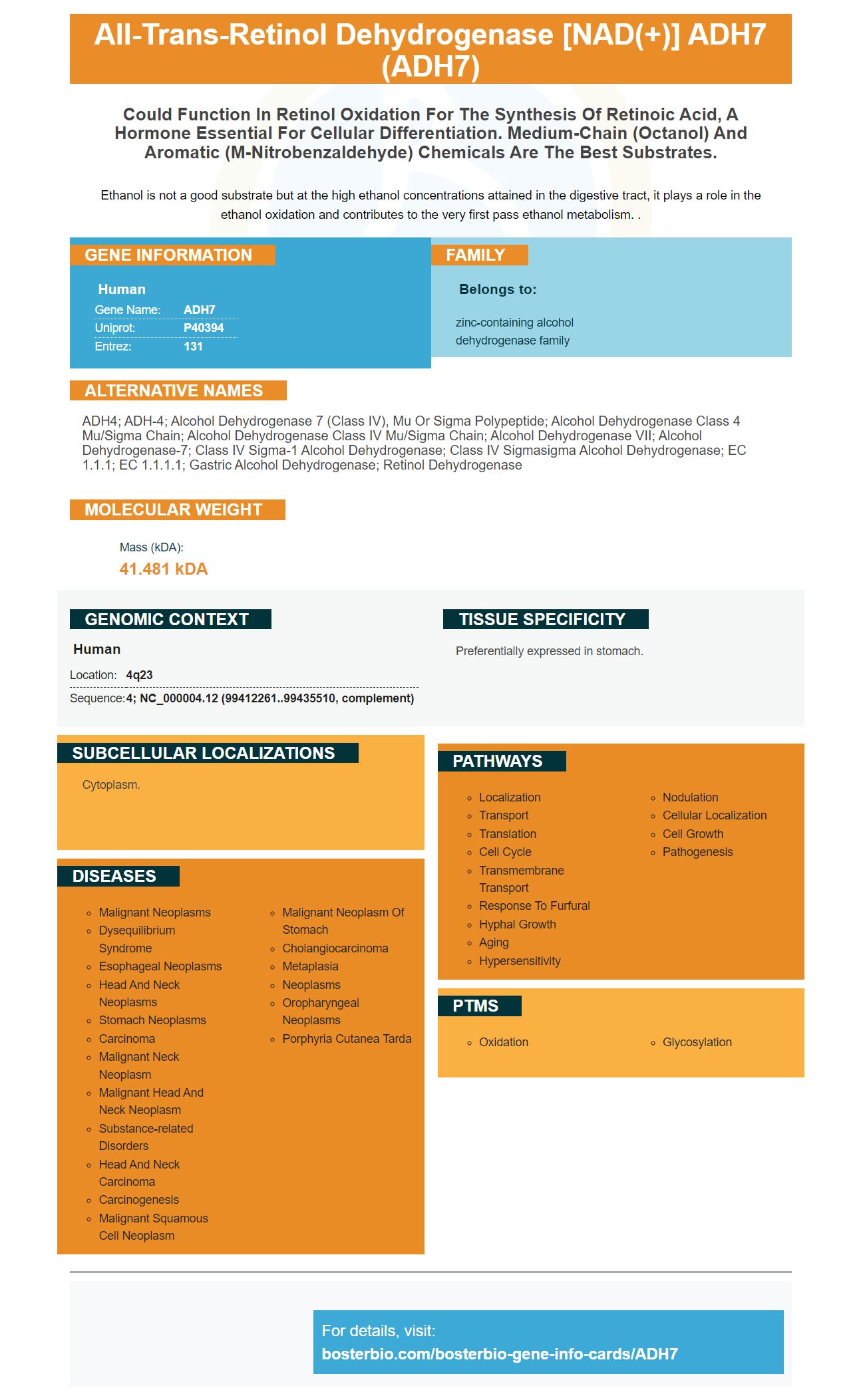 ADH7 Antibodies & ELISA Kits, alcohol dehydrogenase 7 Proteins