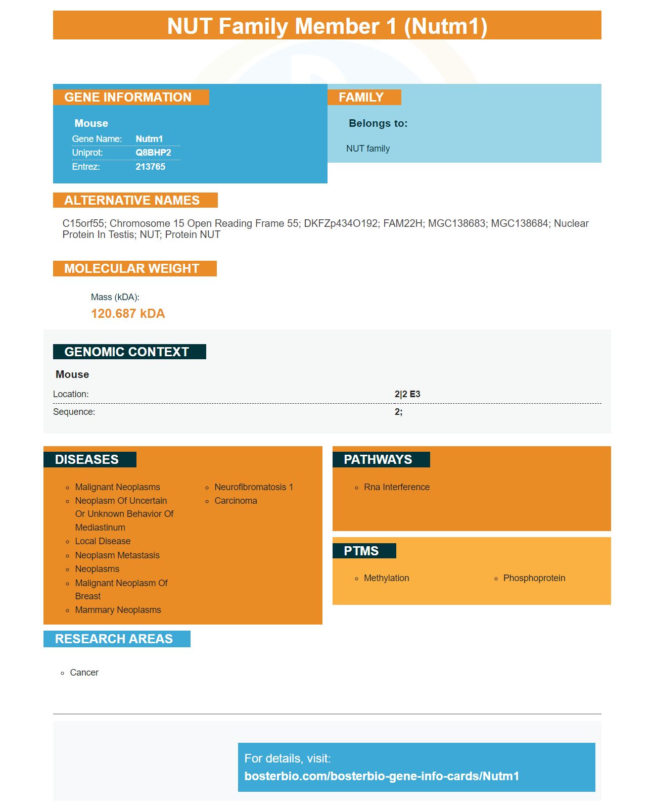 NUTM1 Antibodies & ELISA Kits, NUT Proteins