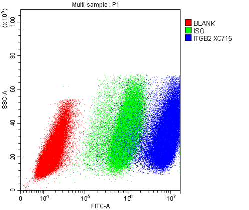 Figure 1: Monoclonal antibodies recognize a specific epitope, whereas polyclonal antibodies recognize multiple epitopes.