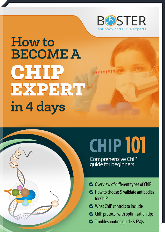 handbook-cover