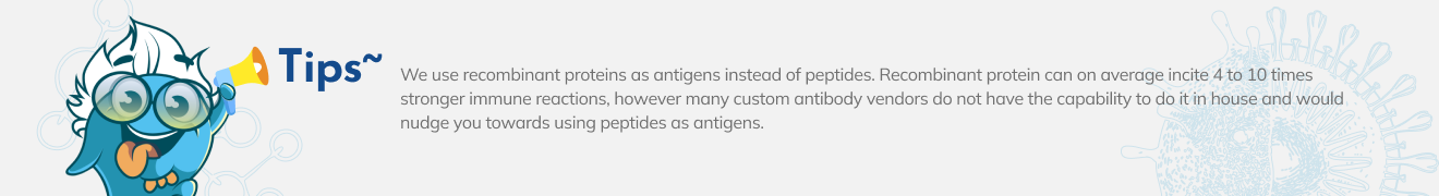 Process Timeline: 1. Today: Confirmation Email 2. 2-3 Days: Feasibility Update 3. 4-10 Days: Full Report