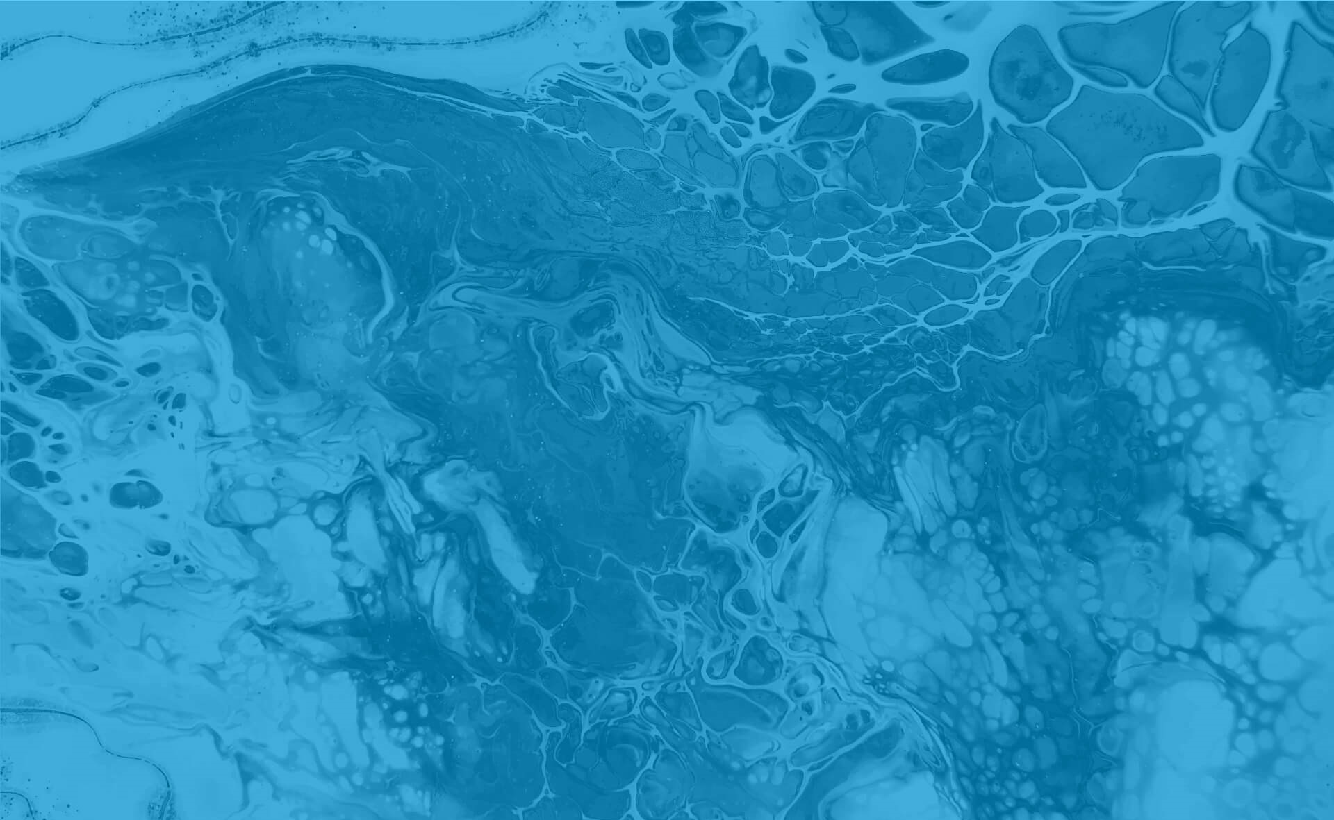 Blue background design for Western blot page