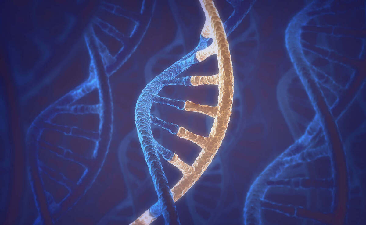 Double-stranded DNA analysis in microbiome sequencing