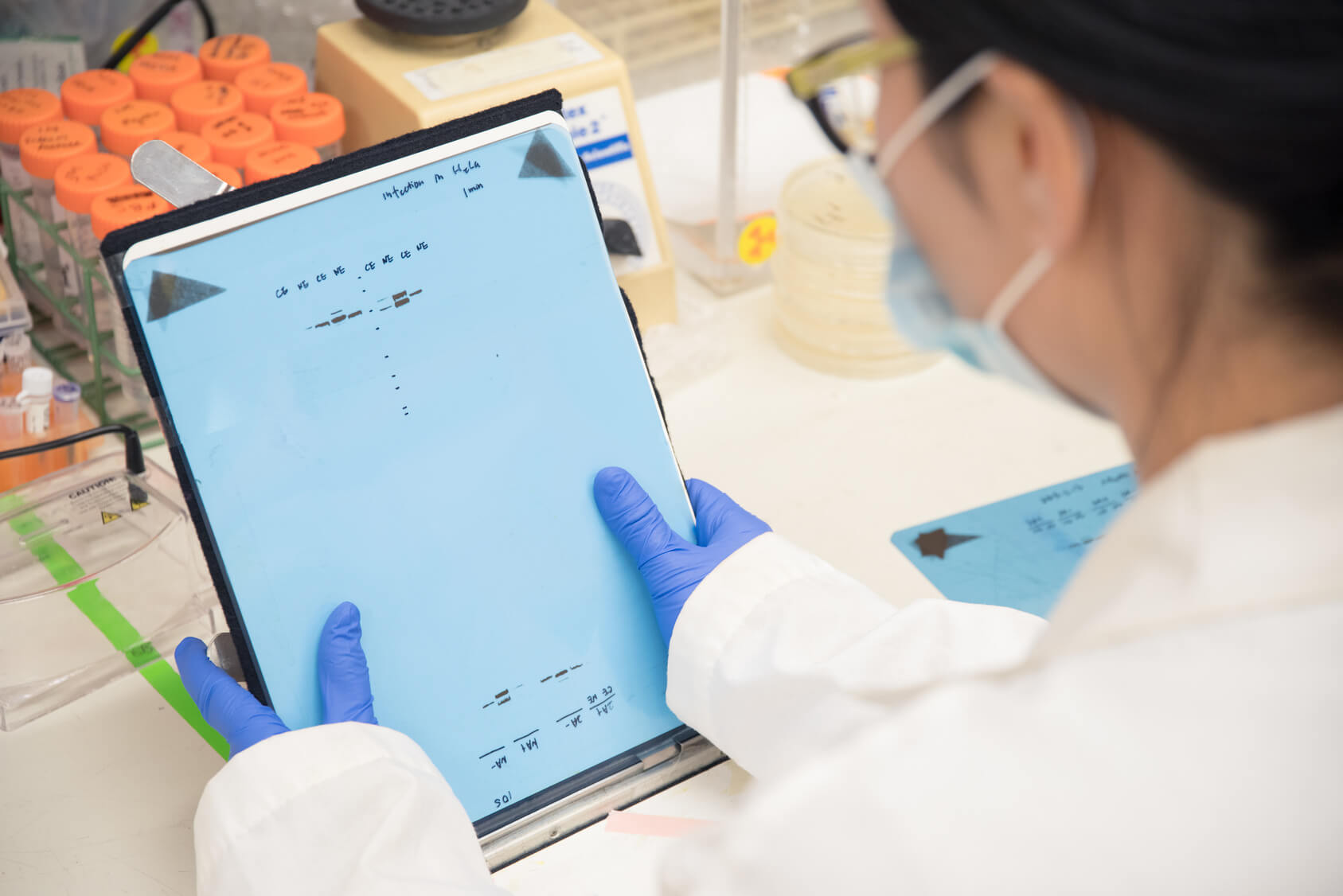 Researchers conducting western blot assay in laboratory
