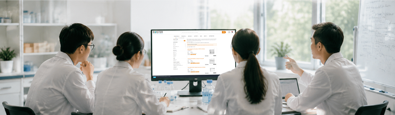 BosterBio scientists reviewing antibody validation results together in the laboratory