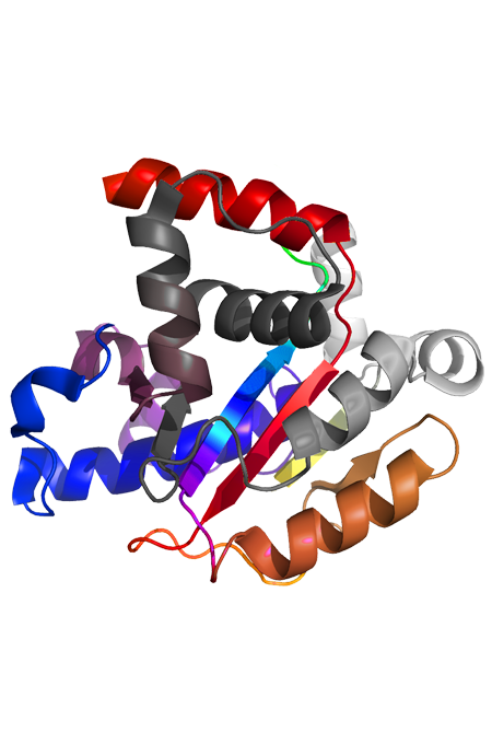 protein expression