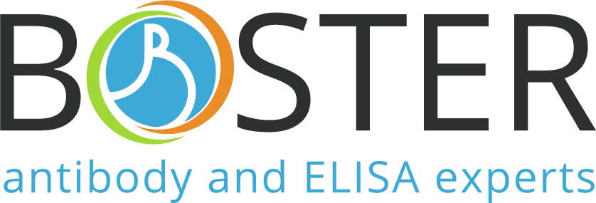 BosterBio Logo