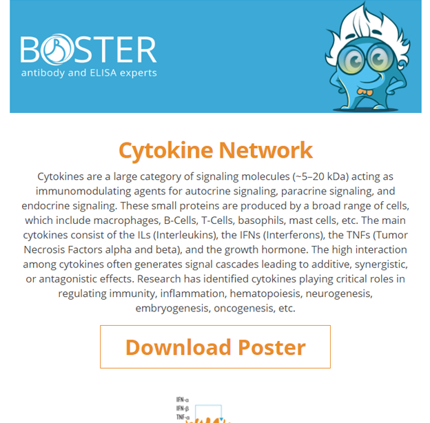 Cytokine network poster newsletter thumbnail
