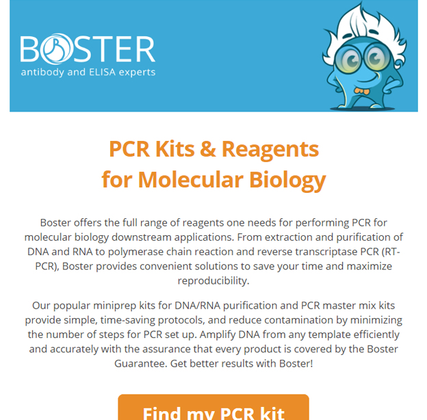 PCR reagents master mixes and miniprep kits newsletter thumbnail