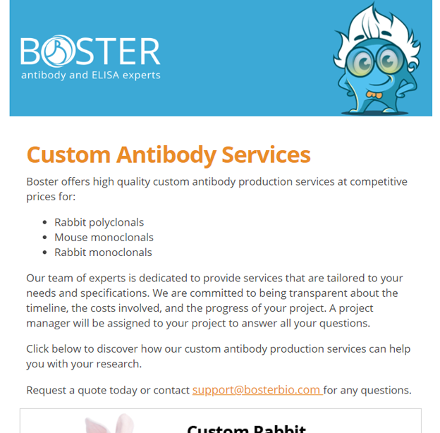 Custom antibody services for your research newsletter thumbnail