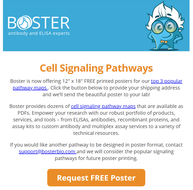 See our top 3 pathways and request your free poster today newsletter thumbnail