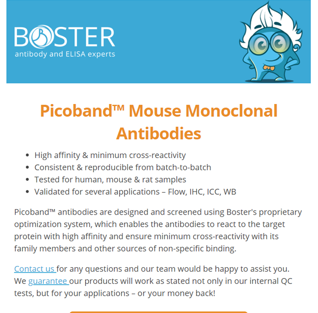 Picoband mouse monoclonals for your research newsletter thumbnail