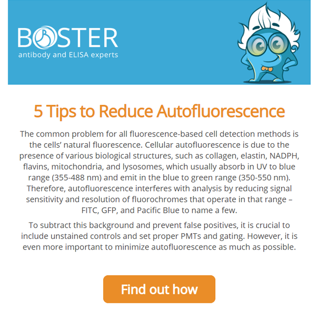 5 tips to reduce autofluorescence newsletter thumbnail