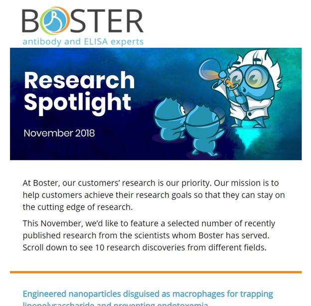 Research Spotlight November 2018 newsletter thumbnail