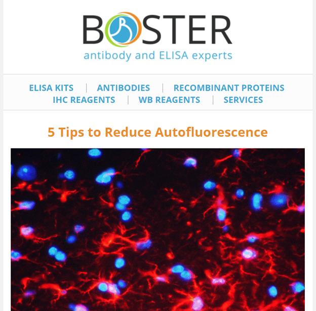 5 tips to reduce autofluorescence newsletter thumbnail