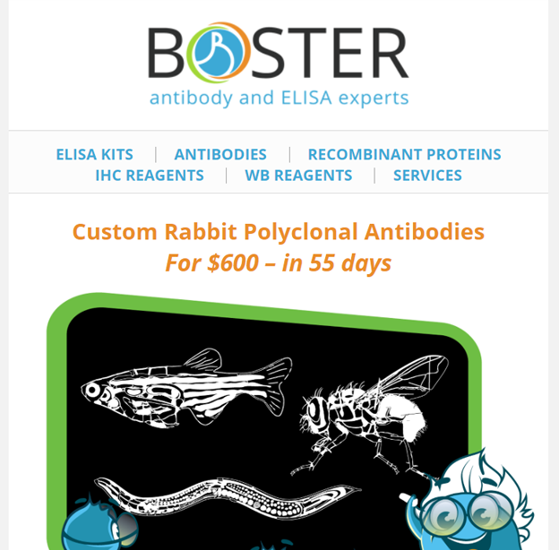600 custom zebrafish and drosophila antibodies newsletter thumbnail