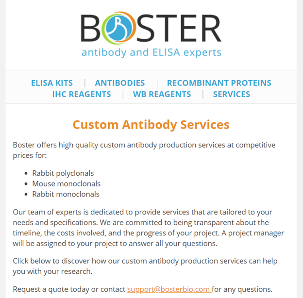 Custom antibody services for your research newsletter thumbnail