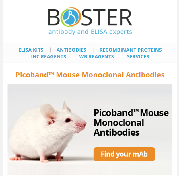 Picoband mouse monoclonals for your research newsletter thumbnail