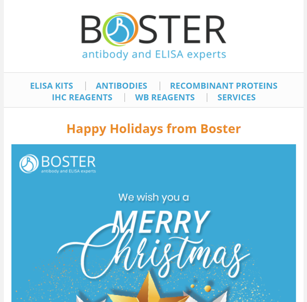 Happy Holidays from Boster newsletter thumbnail