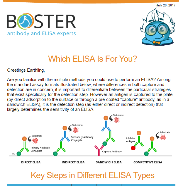 Which ELISA is for you newsletter thumbnail