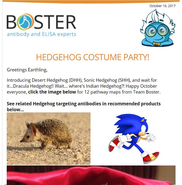 Hedgehog costume party plus 2 signaling pathways newsletter thumbnail