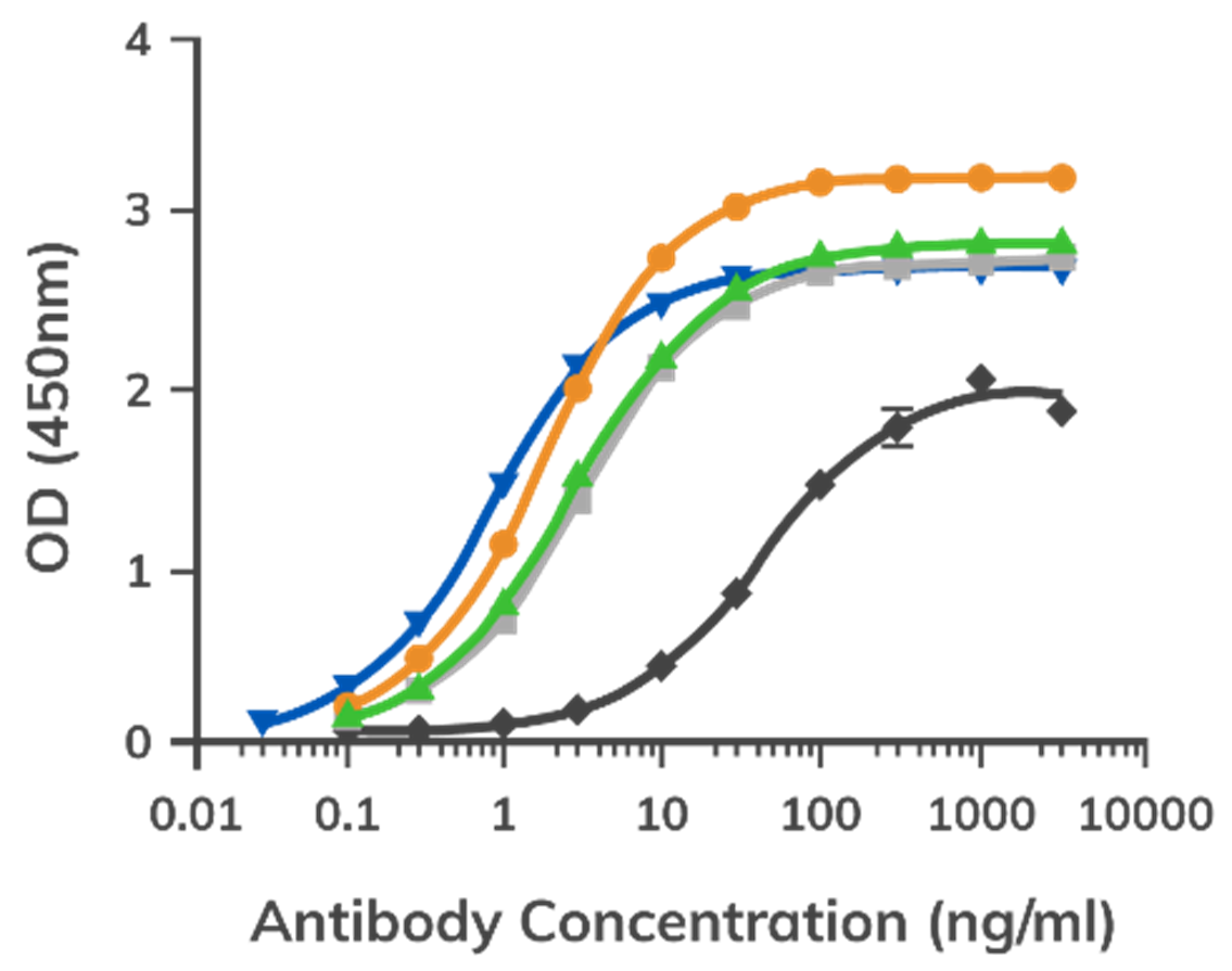 EC-50 comparison of rabbit anti-Cyc monoclonal antibody clones generated by PCD technology and a commercial mouse hybridoma standard