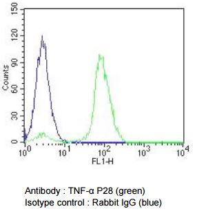  TNF alpha antibody validation image and product review testimonial