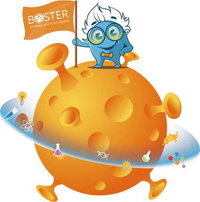 Boster Mascot