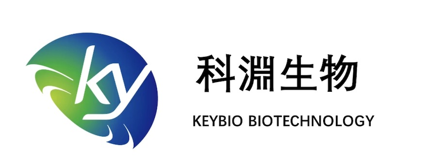 keybio logo