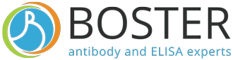 Bosterbio | ELISA Kits, Antibodies, Antibody Company