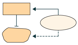 Pathways