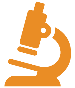 Research Areas