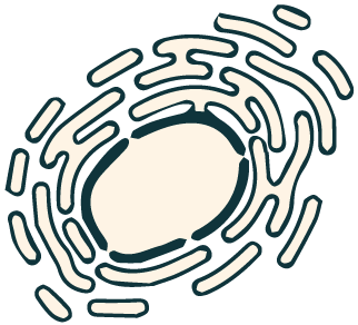 Subcellular Localization