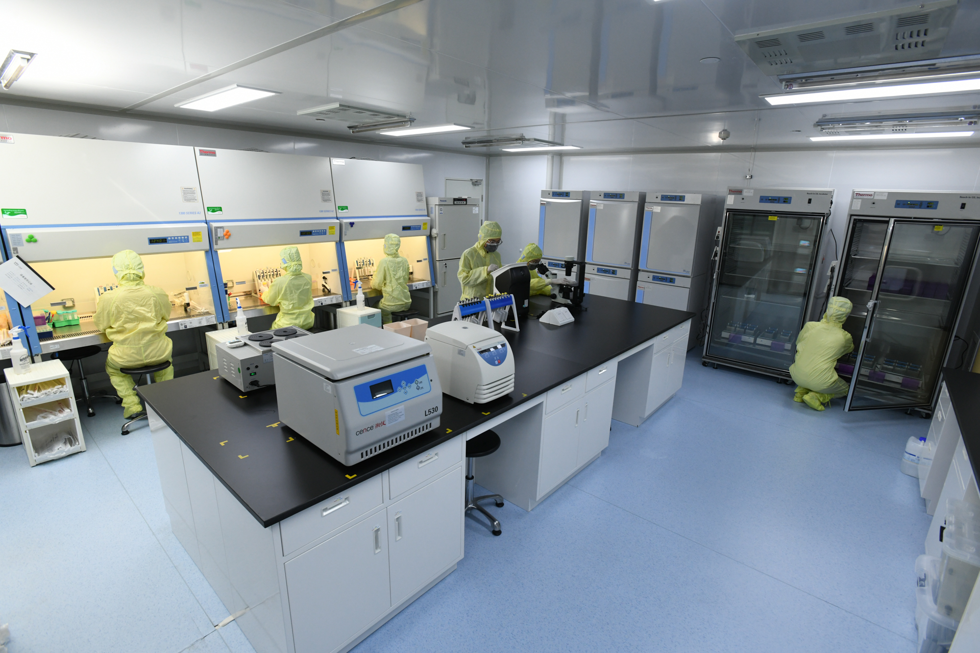 Cell Line Construction Lab